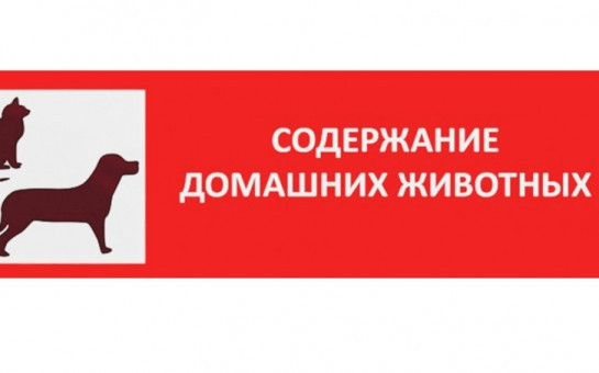 Муниципальное образование сельское поселение Вата Правила содержания домашних жи