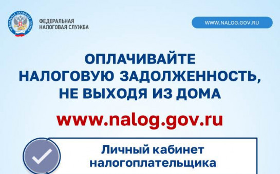 Как узнать о наличии налоговой задолженности и погасить ее